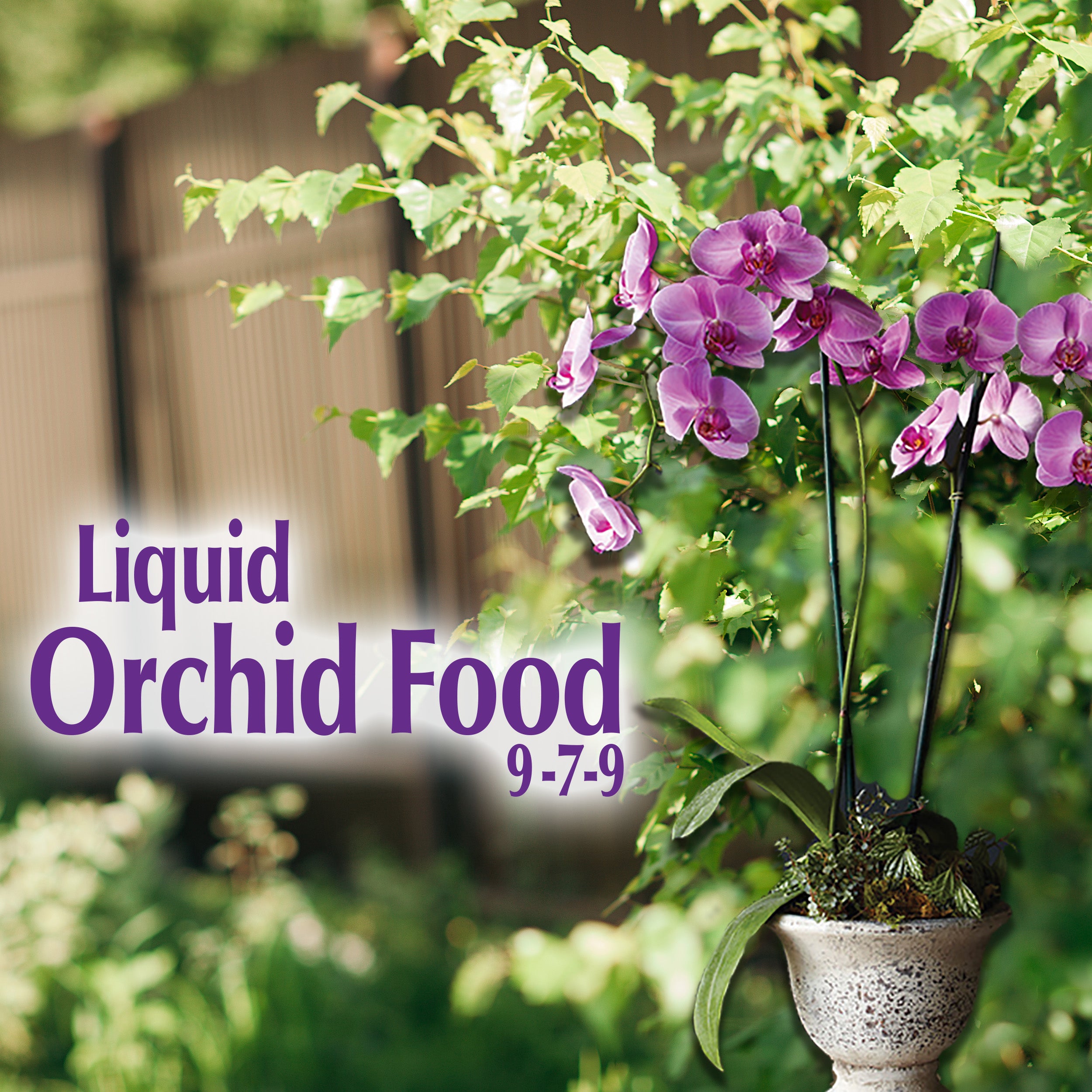 Liquid Orchid Food 8 oz