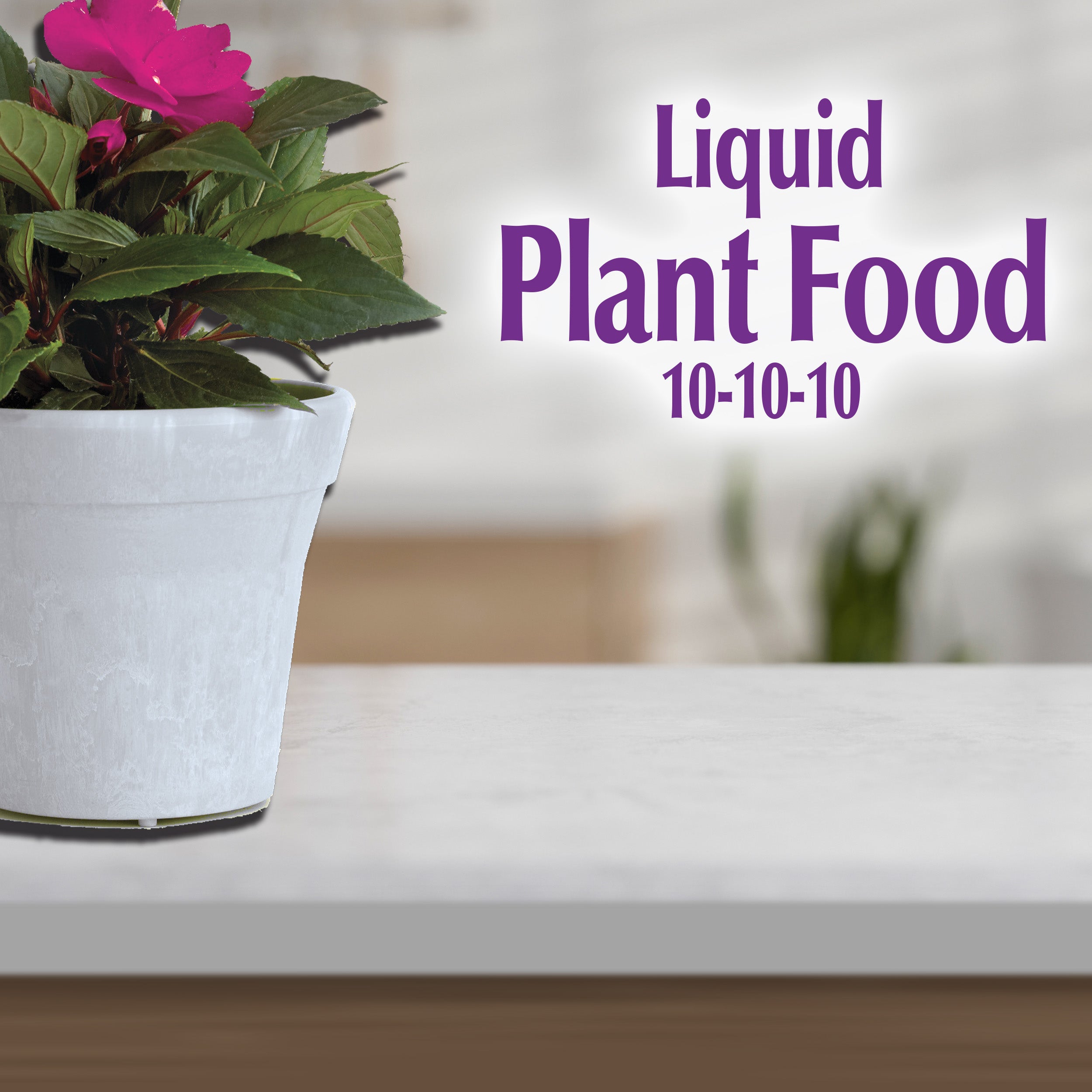 Bonide Liquid Plant Fertilizer 10-10-10 8fl oz.