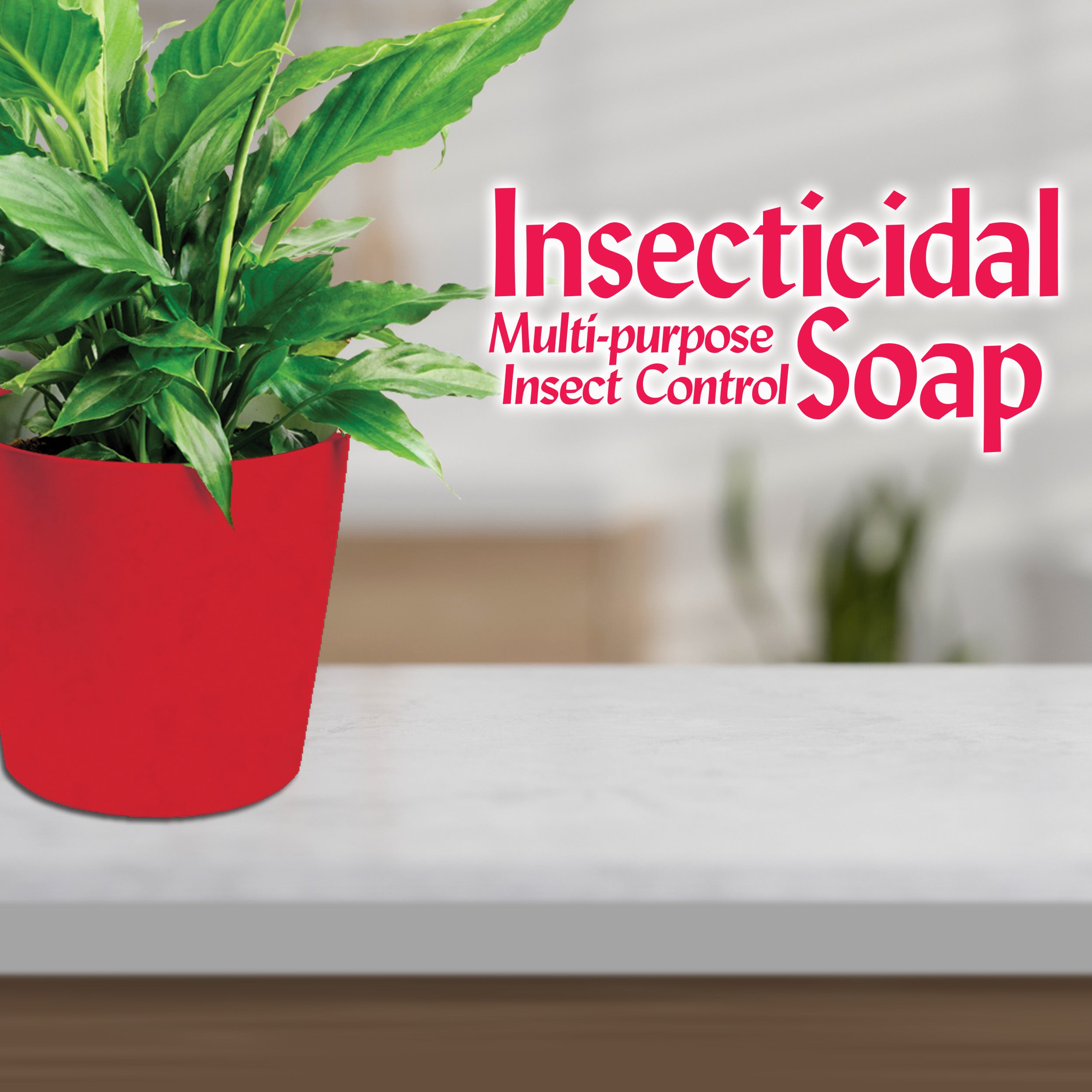Bonide Insecticidal Soap Pump 12oz.