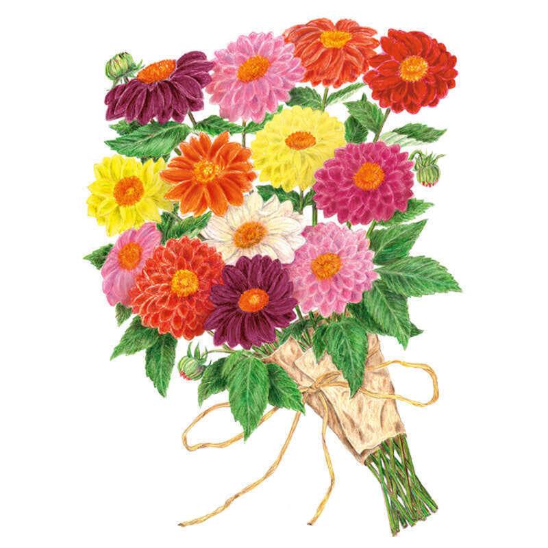 Dahlia Decorative Double Seed Packet seed packet photo