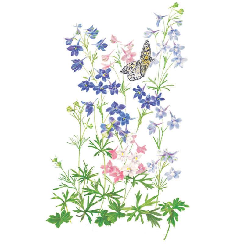 Delphinium Butterfly Blend Seed Packet seed packet photo