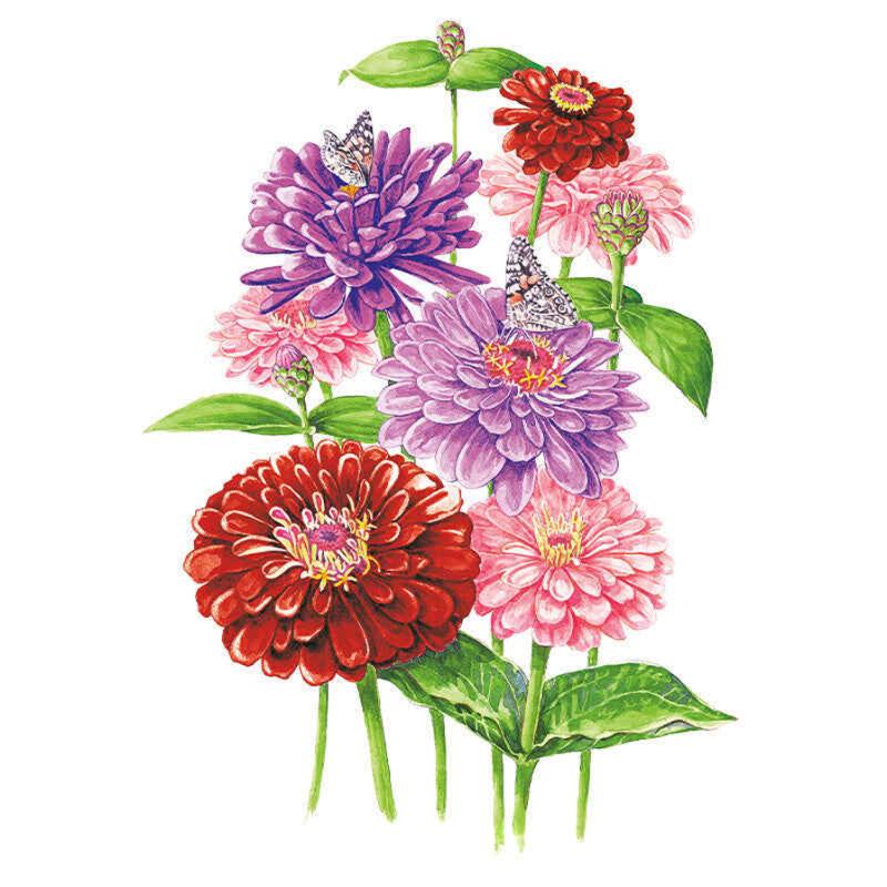 Zinnia Northern Lights Seed Packet seed packet photo