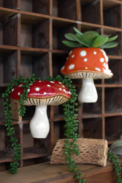 Toadstool Wall Planter