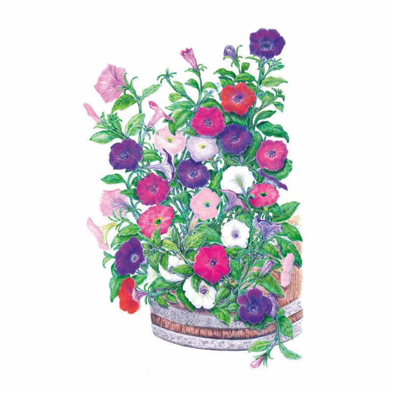 Petunia Petite Charmer Blend seed packet photo