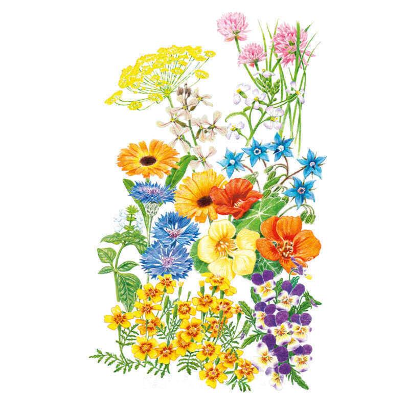 Edible Beauties 3g seed packet photo