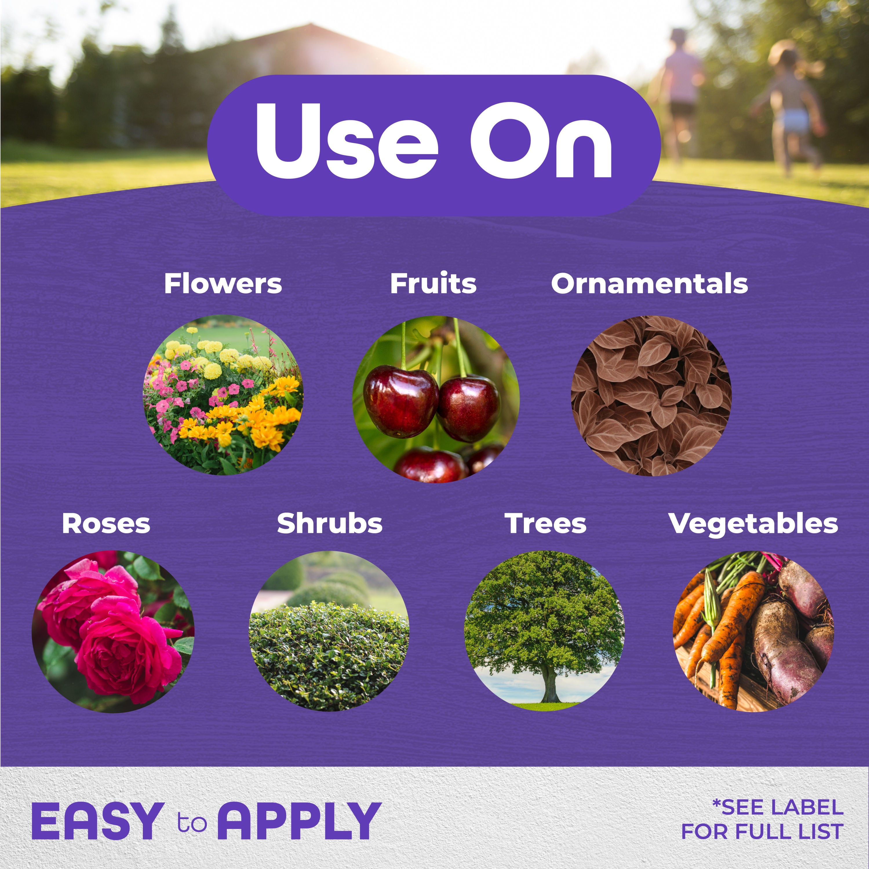 Horticultural & Dormant Oil QT concentrate
