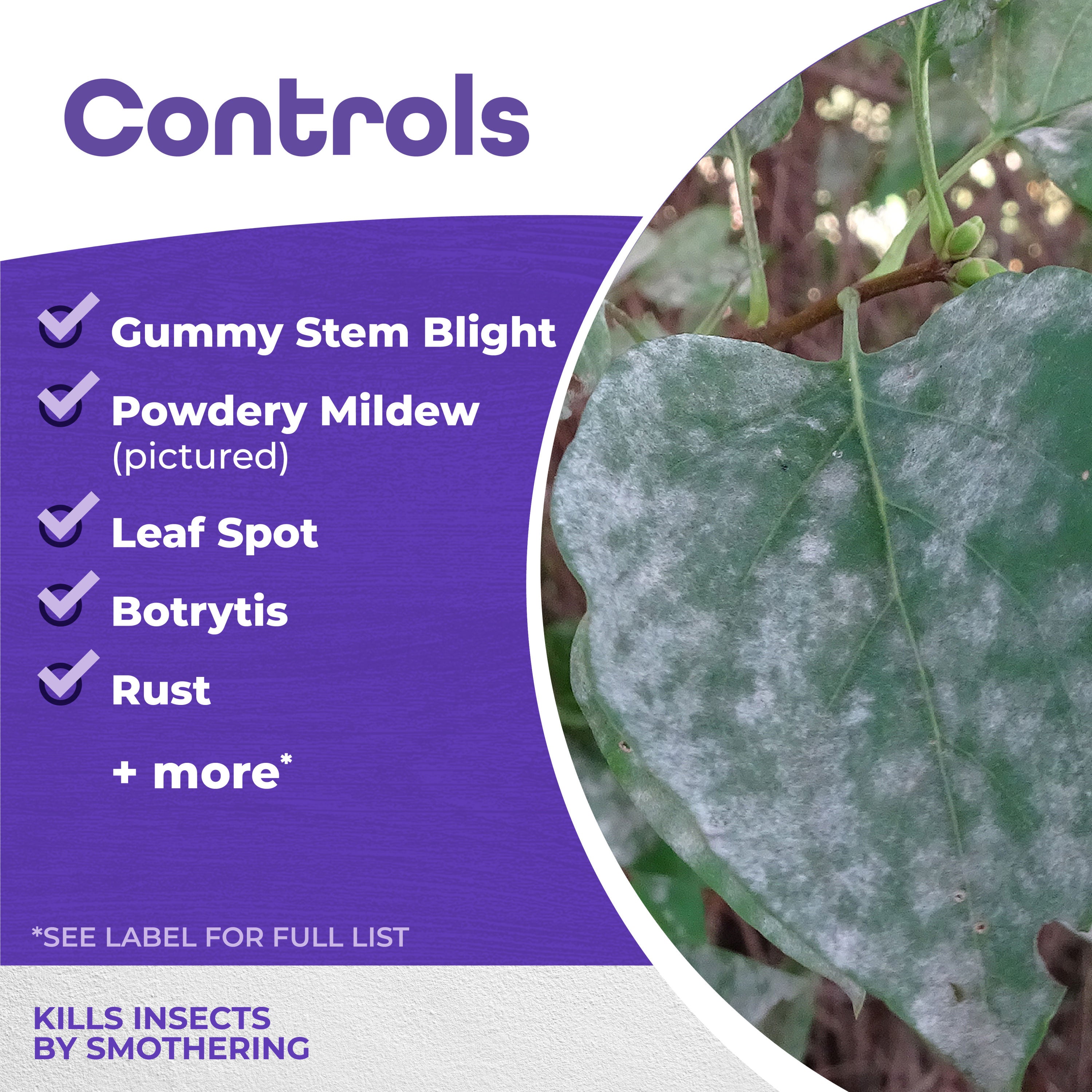 Horticultural & Dormant Oil QT concentrate