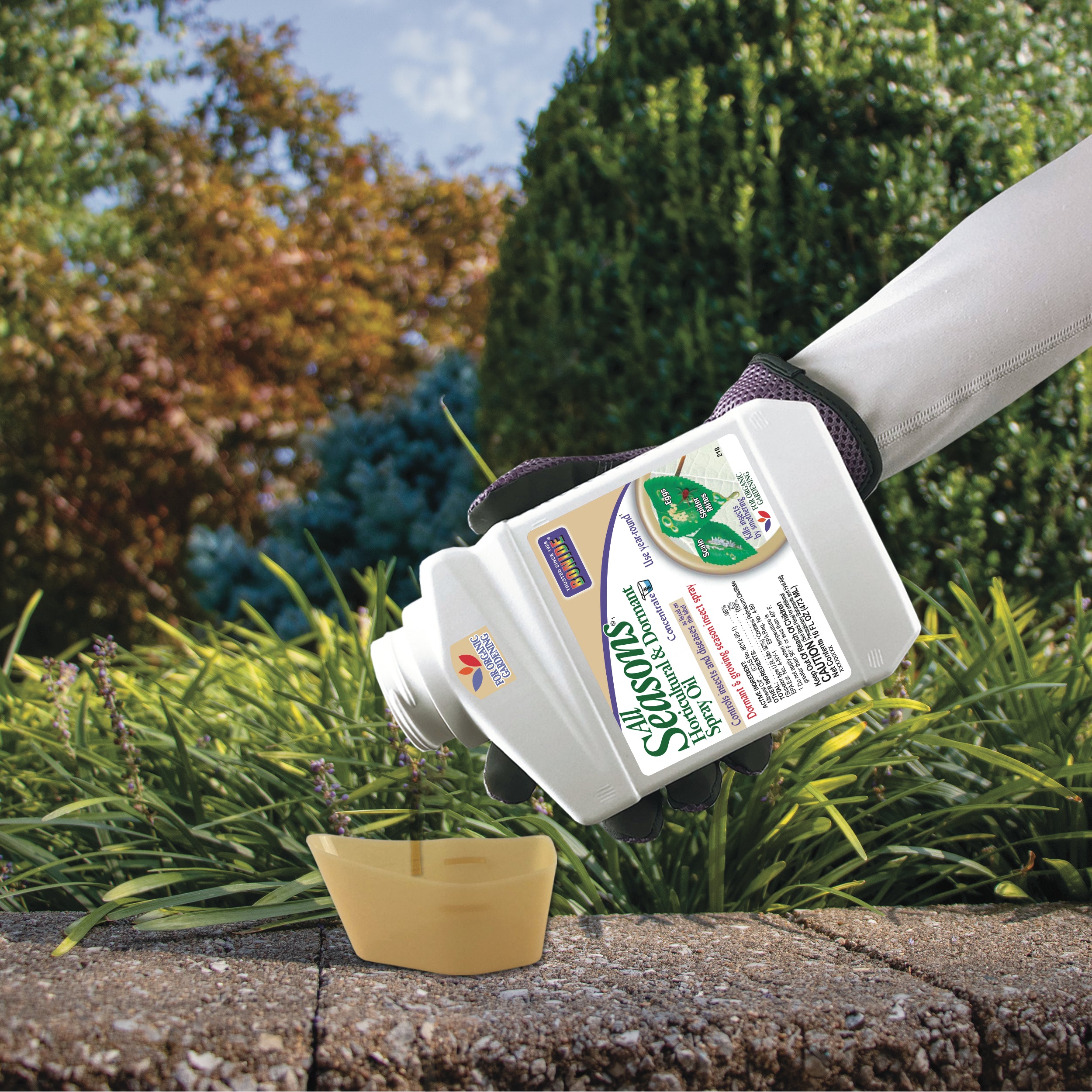 Horticultural & Dormant Oil QT concentrate