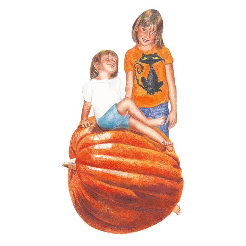 Pumpkin Big Max seed packet photo