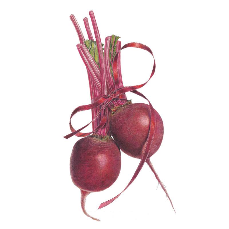 Beet Detroit DK Red Seed Packet seed packet photo