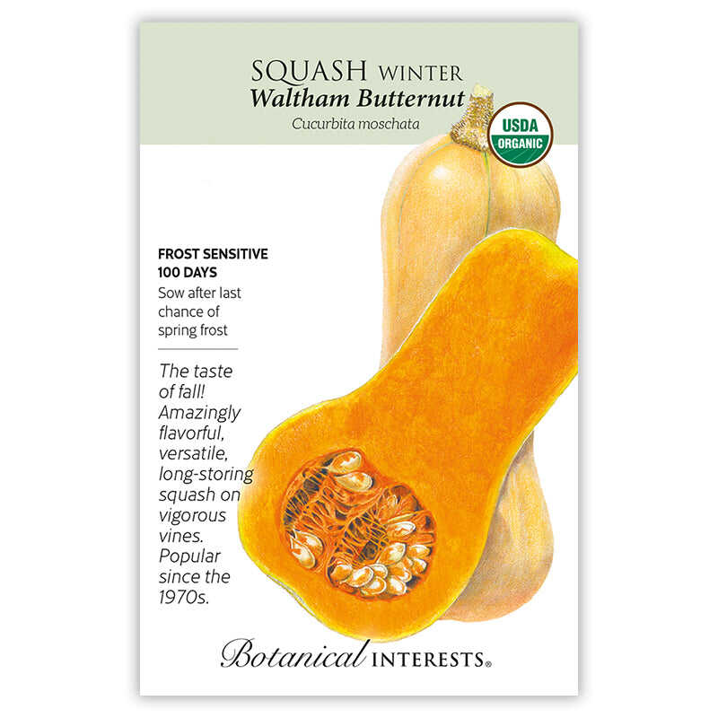 Waltham Butternut Squash seed packet photo