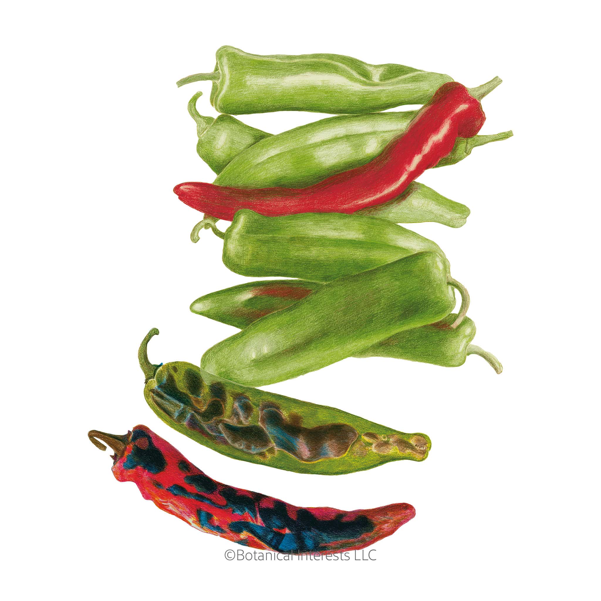 Pepper NuMex Heritage seed packet photo