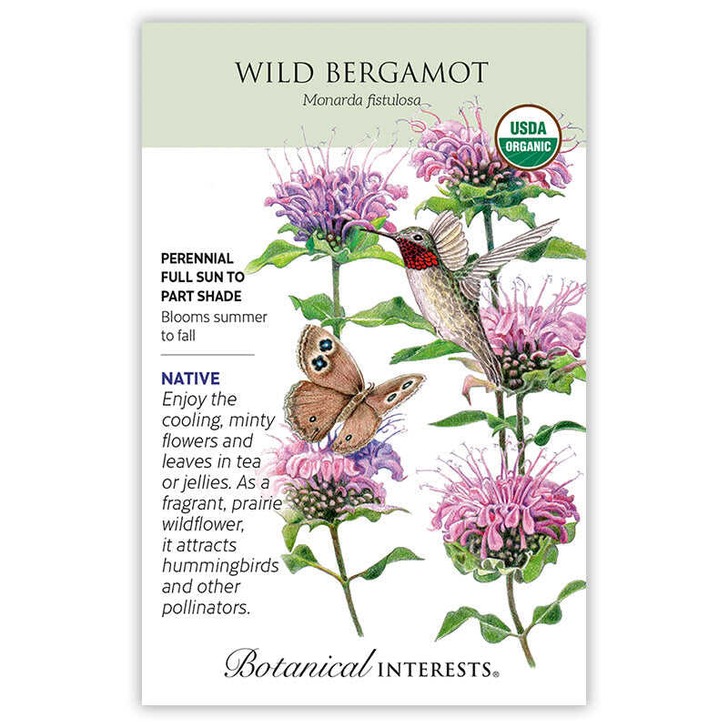 Wild Bergamot Seed Packet seed packet photo
