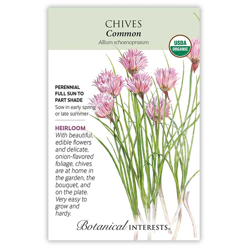 Chives Common Organic Seed Packet seed packet photo
