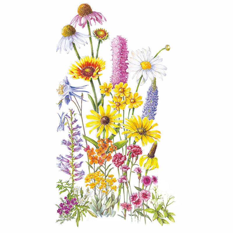 Flower mix perennial bloom seed packet photo
