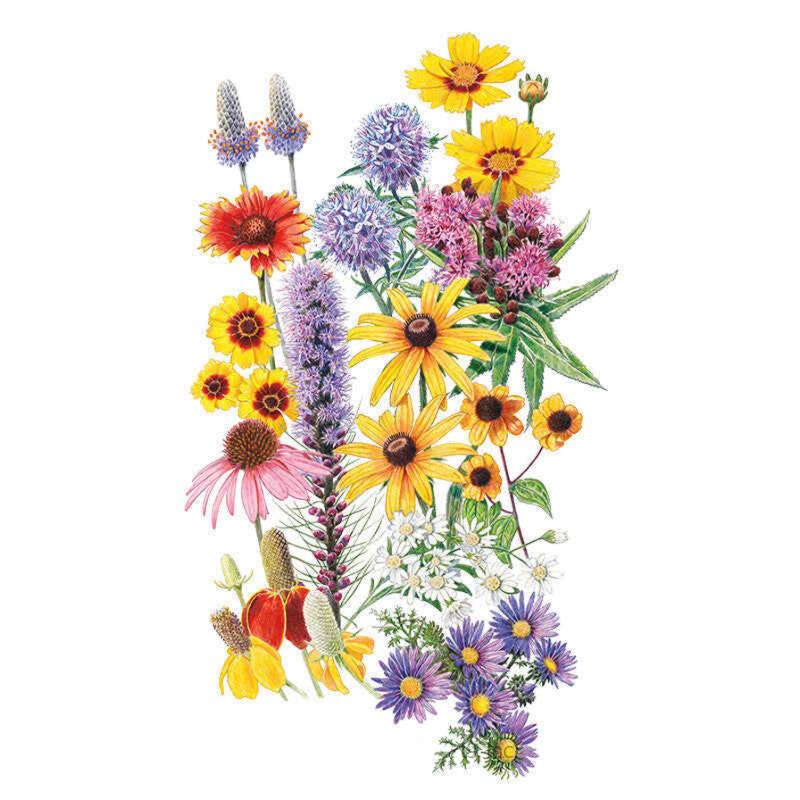 Prairie Splendor Seed Packet seed packet photo