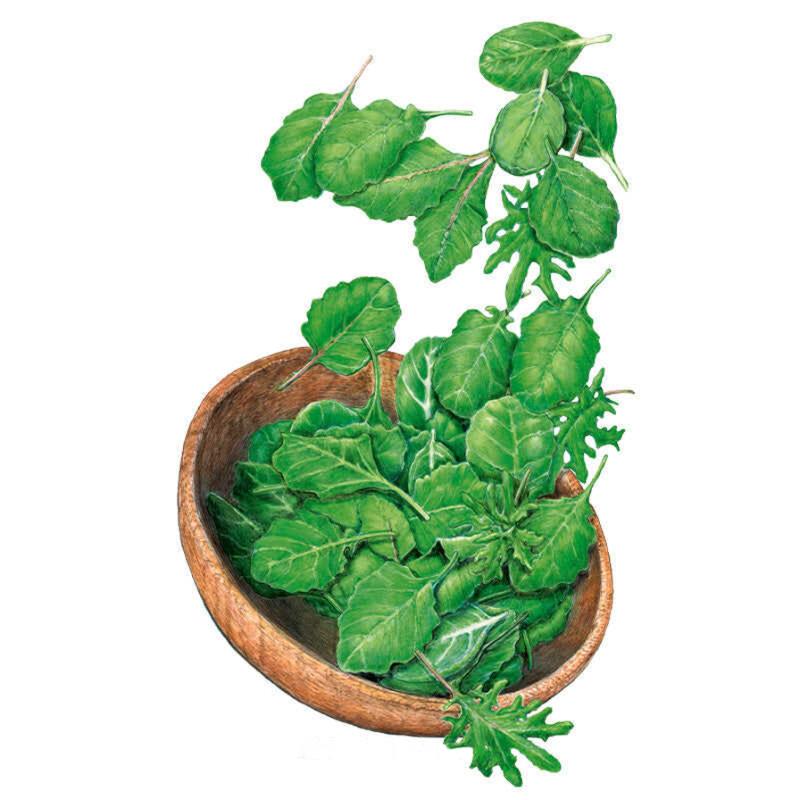 Baby Greens Superfoods seed packet photo