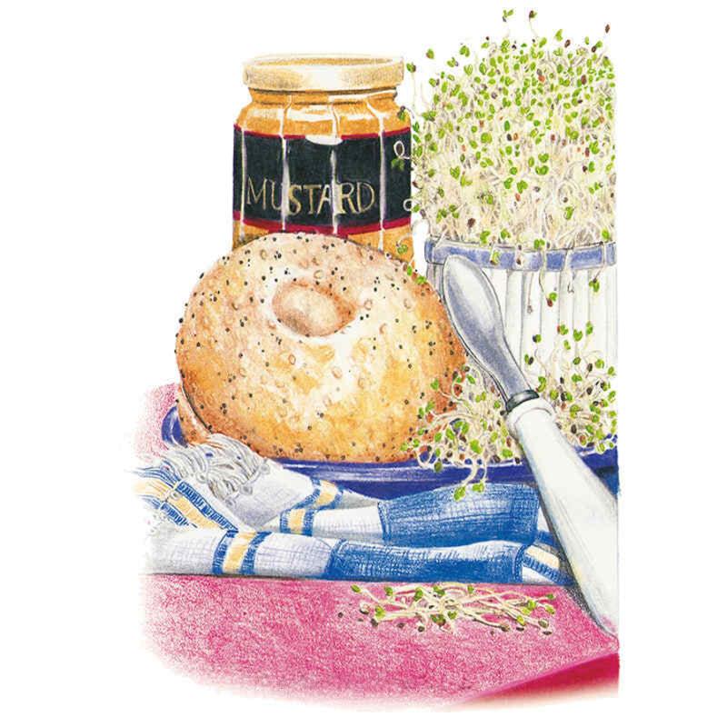 Sprouts Alfalfa seed packet photo