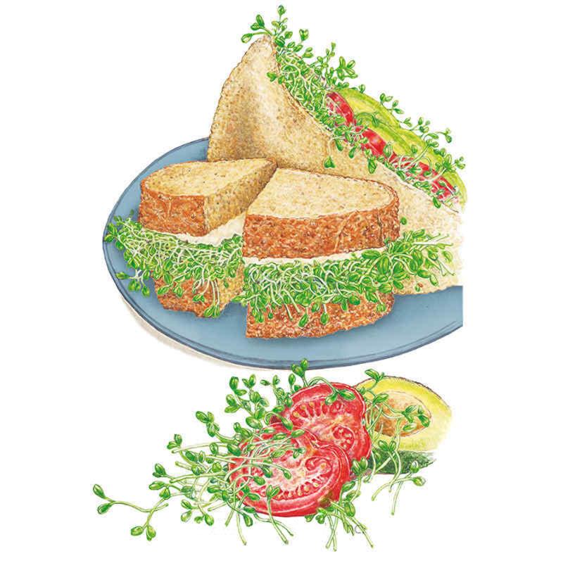 Botanical Interests Sprouts Sandwich Mix Seeds seed packet photo