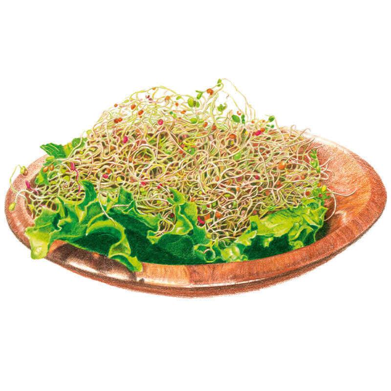 Sprouts Salad Mix seed packet photo