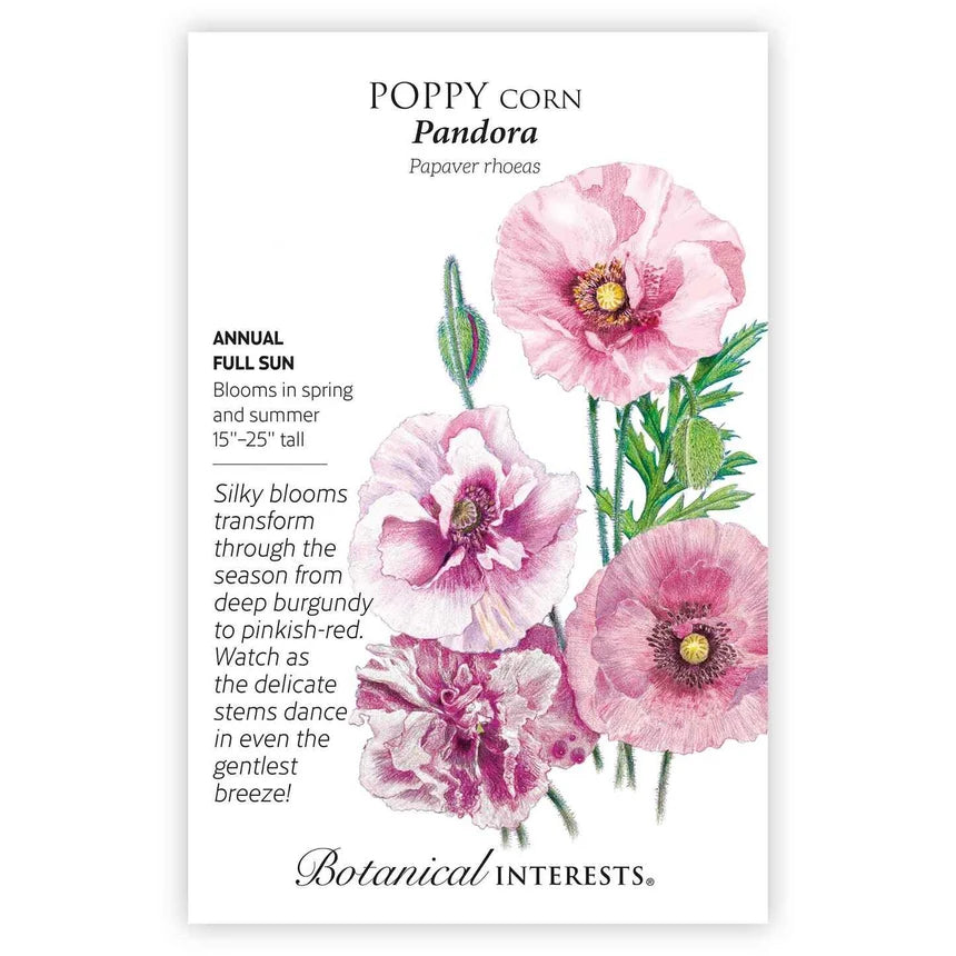 Poppy Corn Pandora Seed Packet