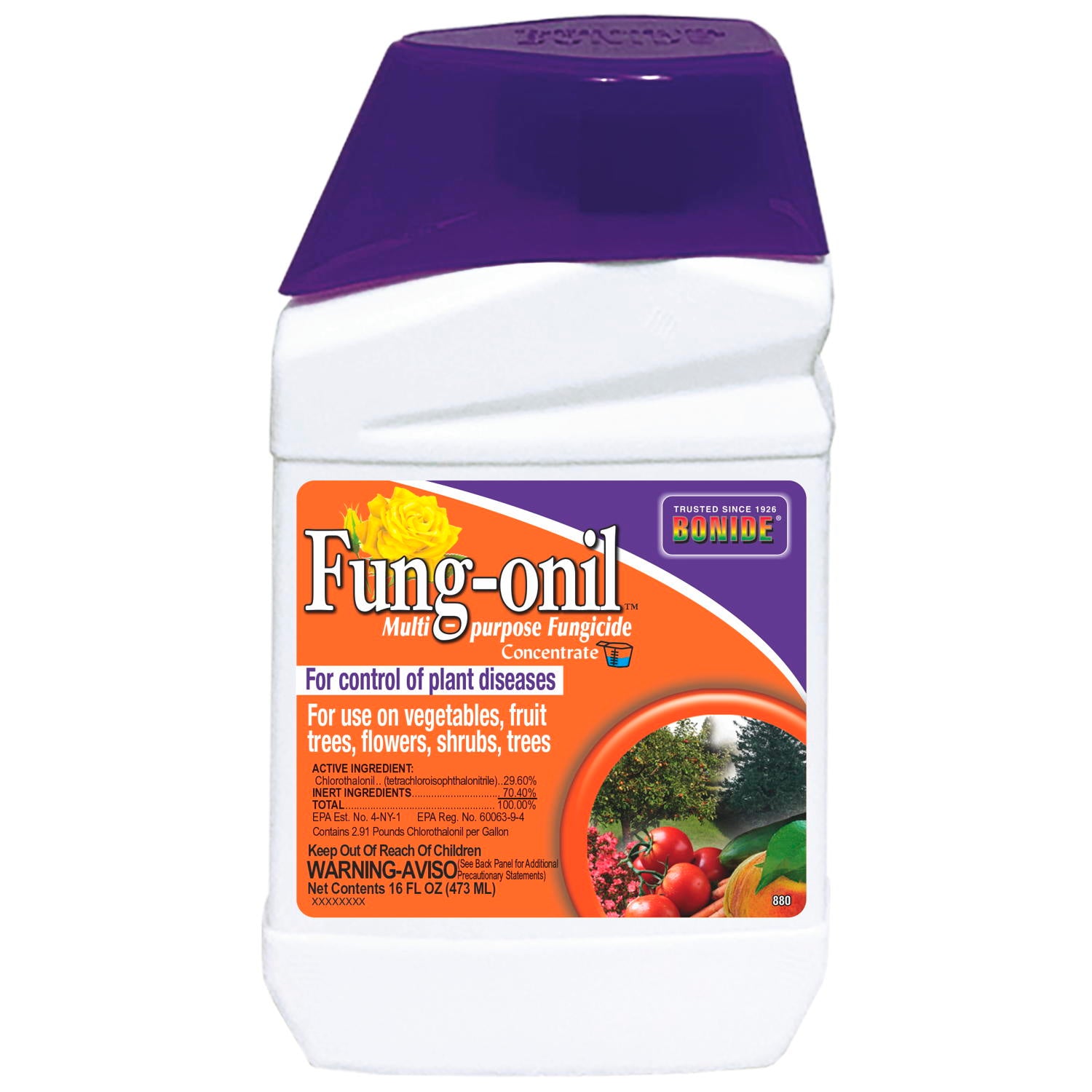 Fung-onil 16 oz Concentrate