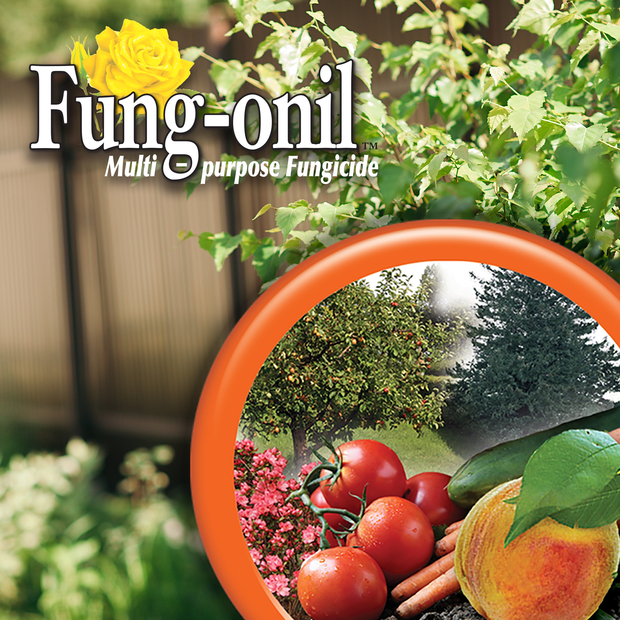 Fung-onil 16 oz Concentrate