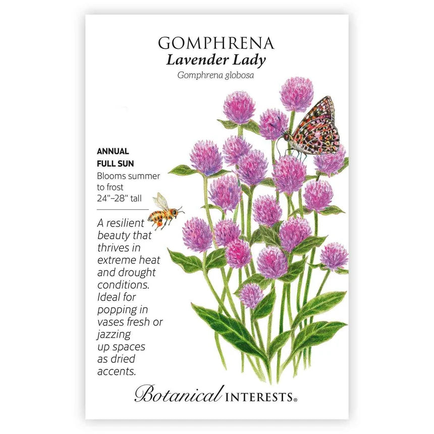 Gomphrena Lavender Lady Seed Packet