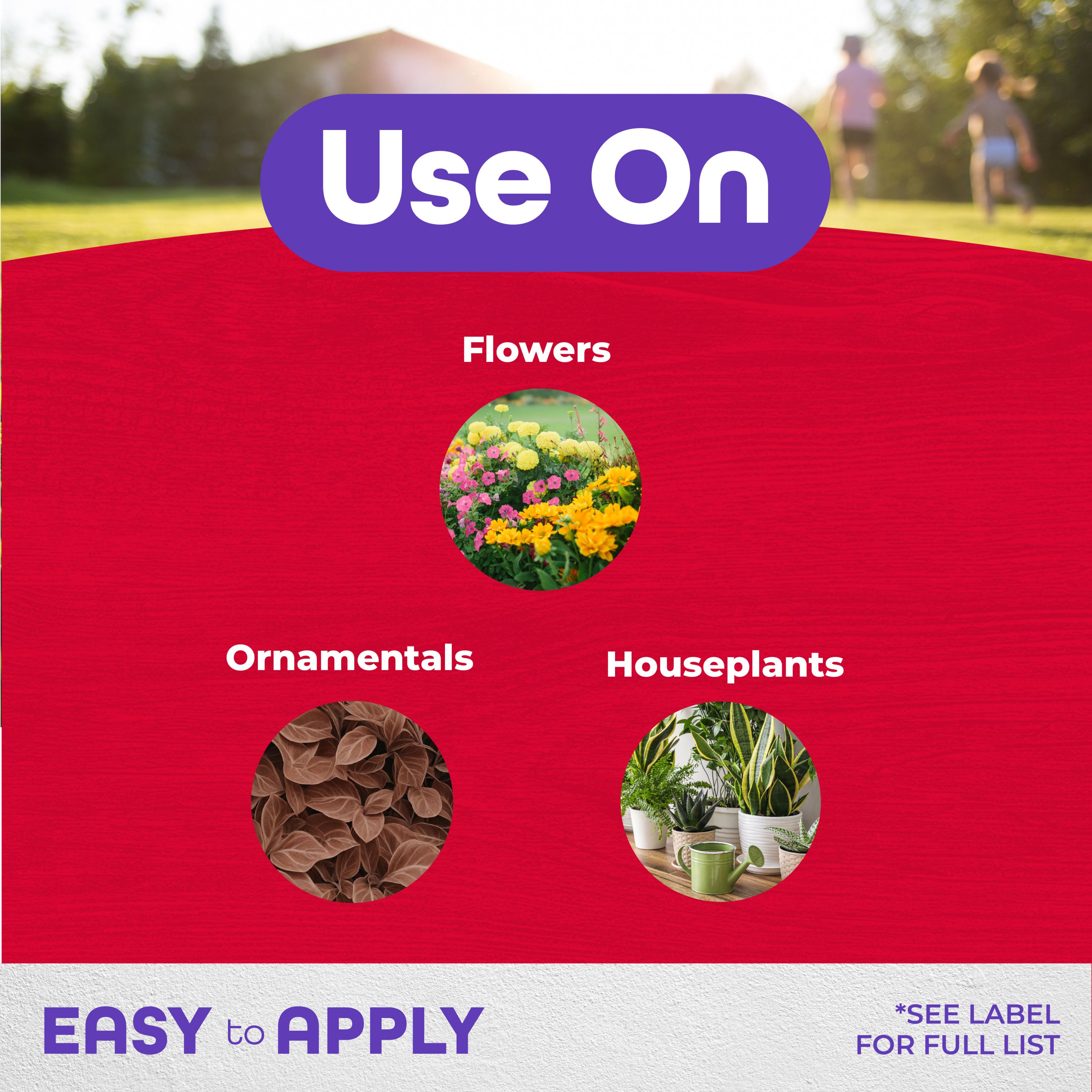 Bonide 8oz Systemic Houseplant Insect Control Granules