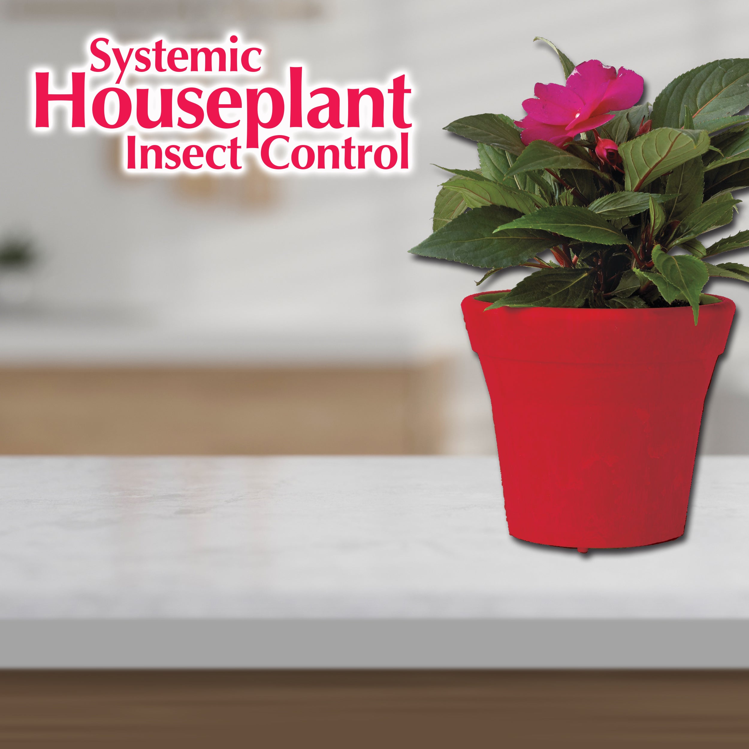 Bonide 8oz Systemic Houseplant Insect Control Granules