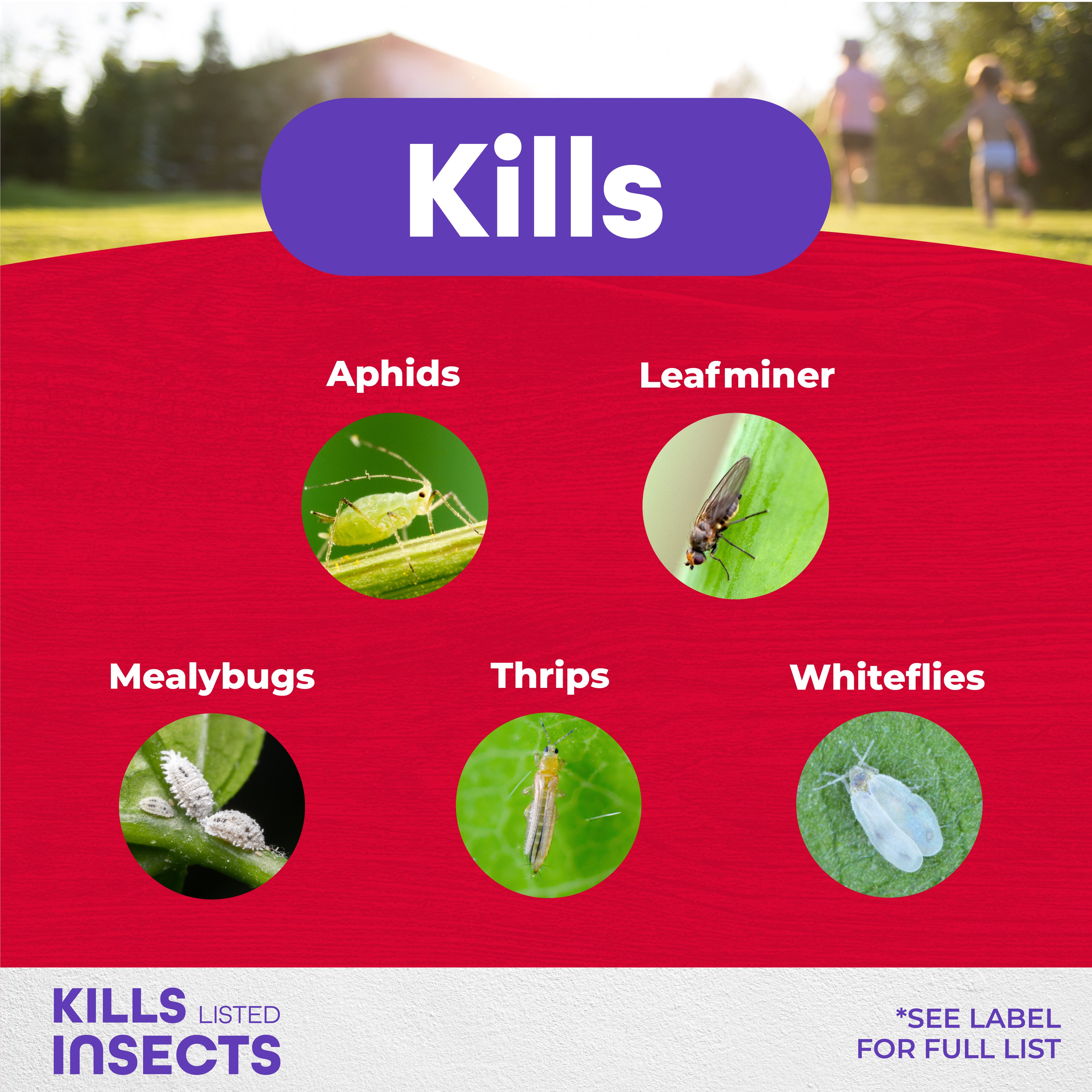 Systemic Granules 4 LB