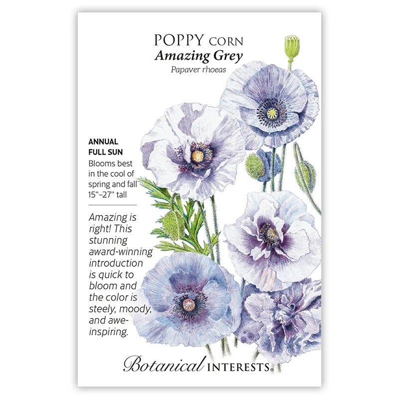Poppy Corn Amazing Grey Seed Packet