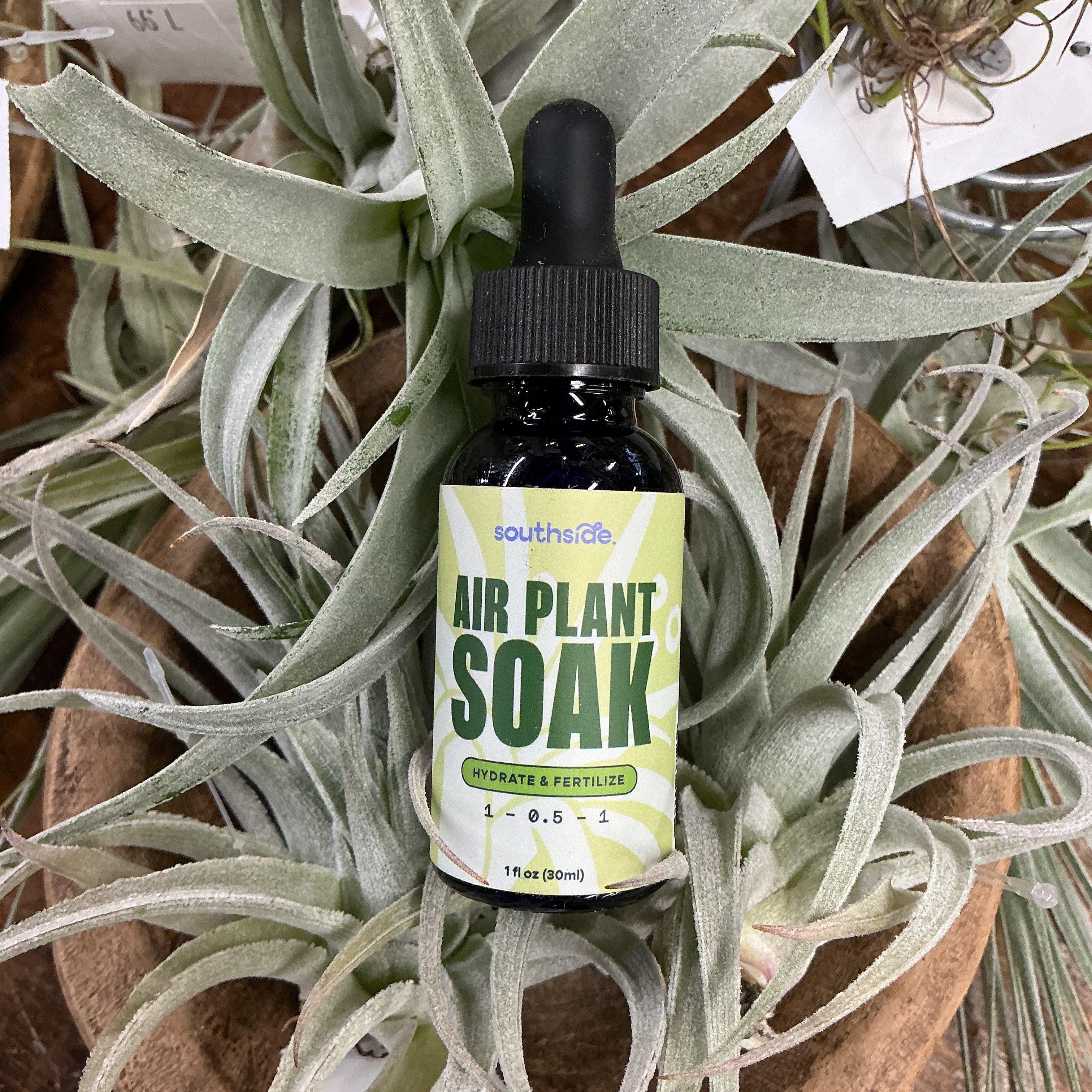 Southside Air Plant Soak 1 oz