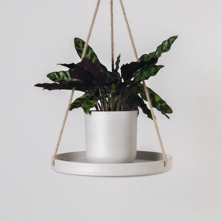 Kanso Designs