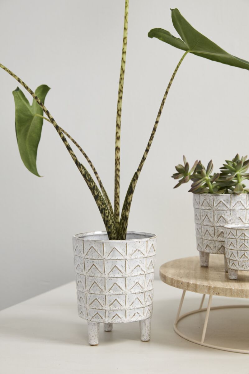 Amrit Pot