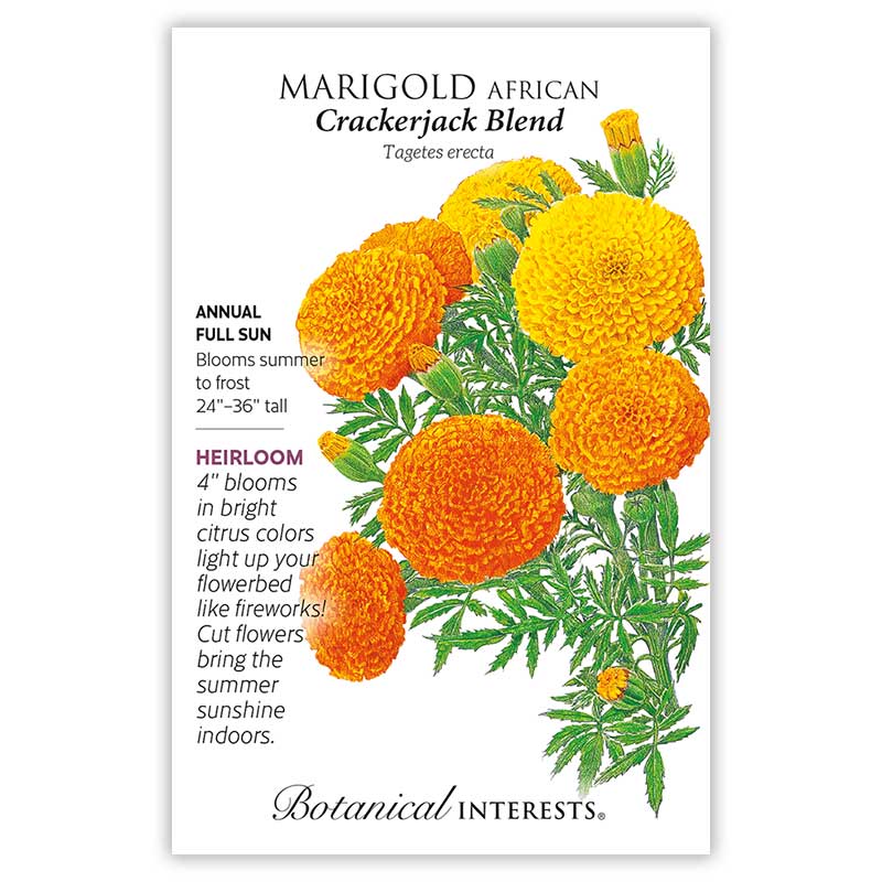 Marigold African Crackerjack Seed Packet