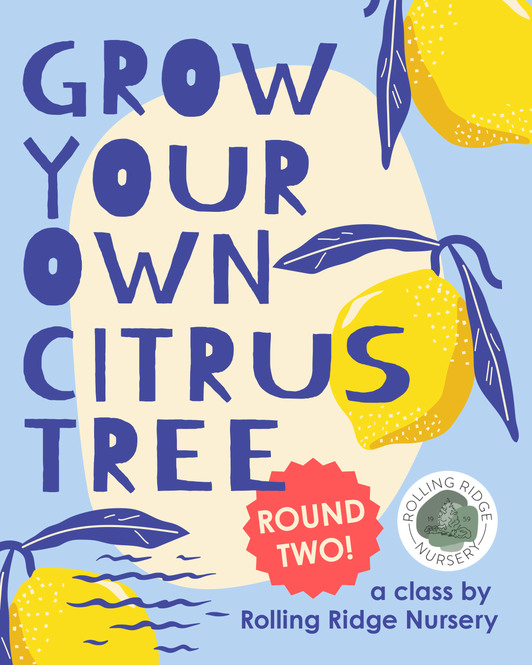 Citrus Class October 24th 2pm-3pm