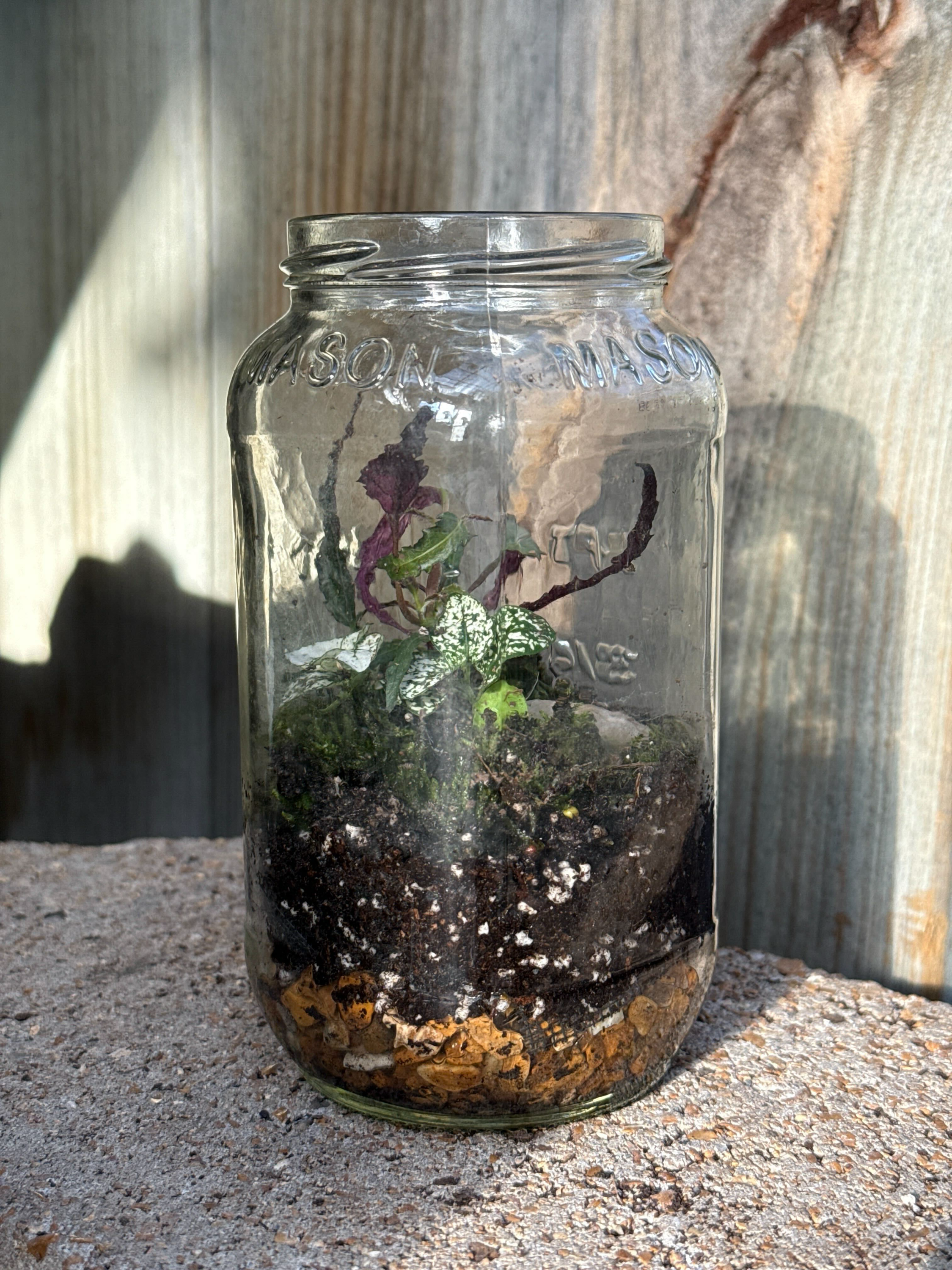 Terrarium Bar Ticket