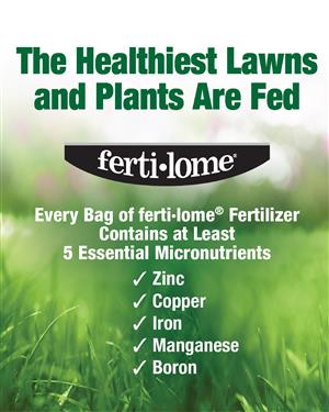 Premium Bedding Plant Fertilizer 3.25 lb