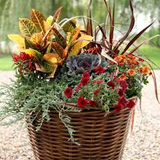 Fall Annual 4"