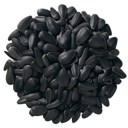 Black Oil Bird Seed 40 LB