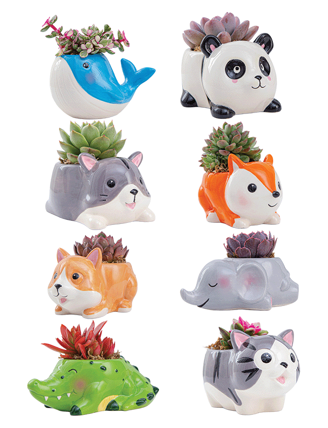 Animal Planter 2” product photo