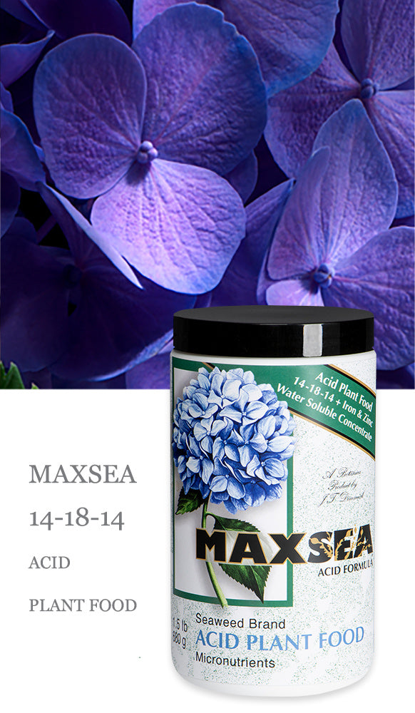 Maxsea Acid Plant Fertilizer 14-18-14 product photo