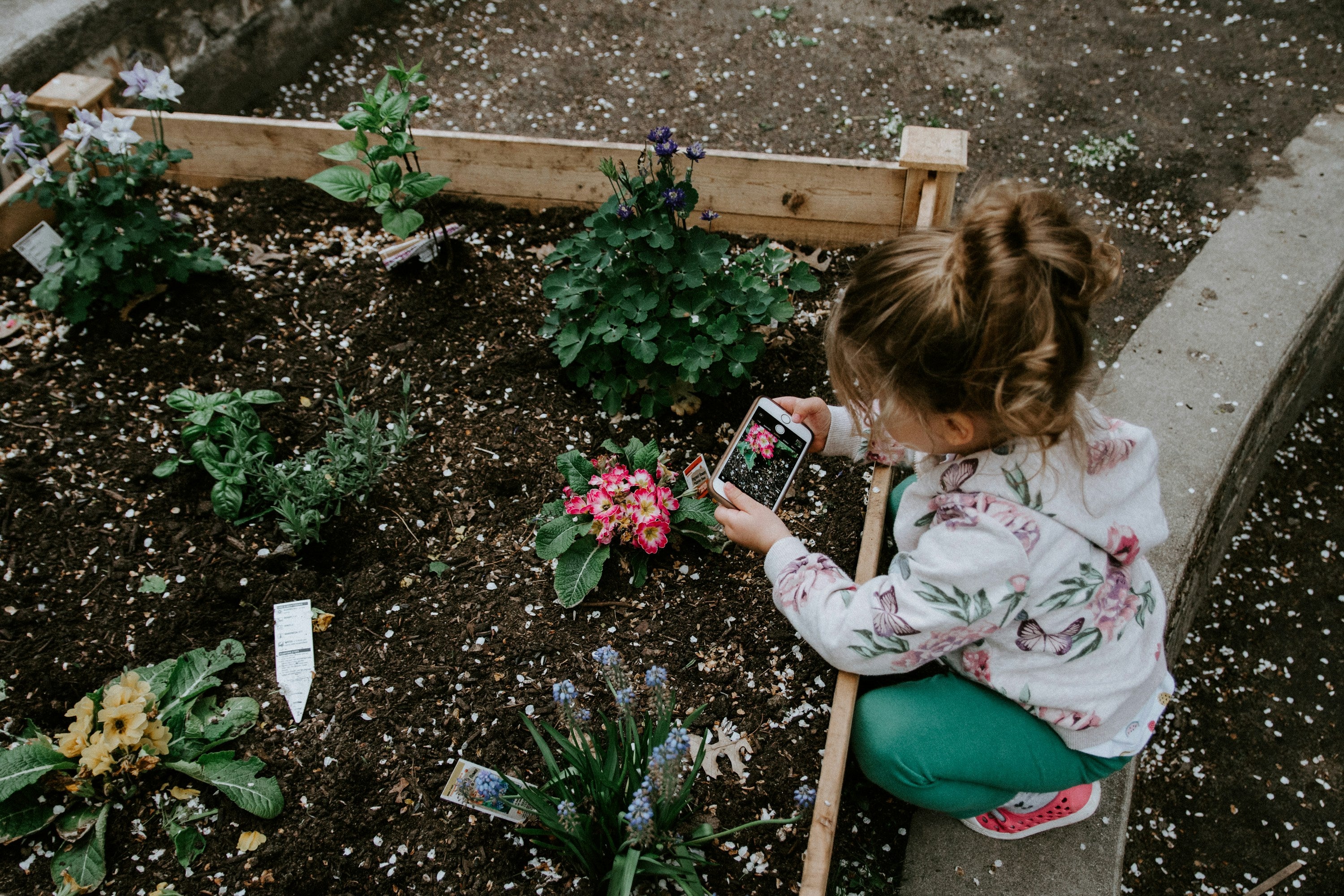 Getting your kids into the garden!