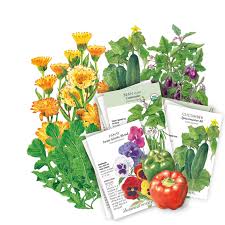Garden Seed
