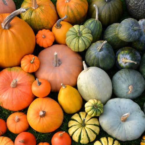 Fall Pumpkins and such