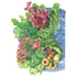 Lettuce Farmer’s Market Blend seed packet photo