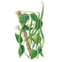 Bean Pole Kentucky Wonder Seed Packet seed packet photo