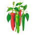 Pepper NuMex Joe E Farker seed packet photo