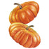 Pumpkin Cinderella seed packet photo